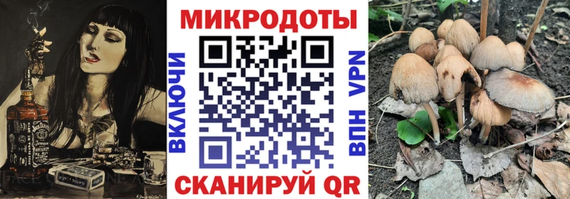 Галлюциногенные грибы Cubensis  kraken зеркало  Пересвет 